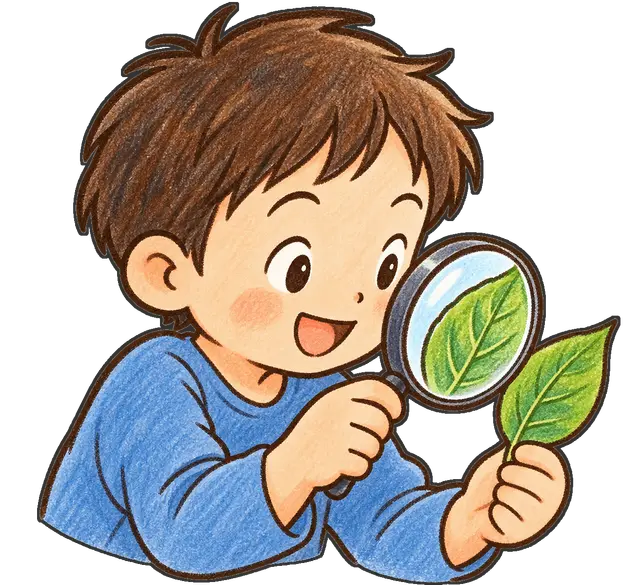 葉の観察の枠付き版